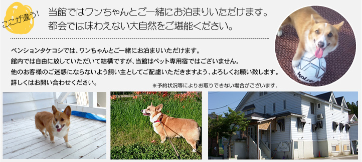 ここが違う!当館ではワンちゃんとご一緒にお泊りいただけます。都会では味わえない大自然をご堪能ください。ペンションタケコシでは、ワンちゃんとご一緒にお泊りいただけます。館内では自由に放していただいて結構ですが、当館はペット専用宿ではございません。他のお客様にご迷惑にならないよう飼い主としてご配慮いただきますよう、よろしくお願い致します。詳しくはお問い合わせください。