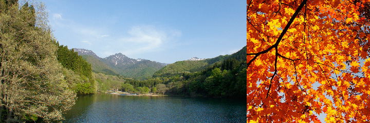 yuzawa1